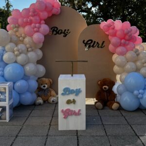 TNT per gender reveal in legno