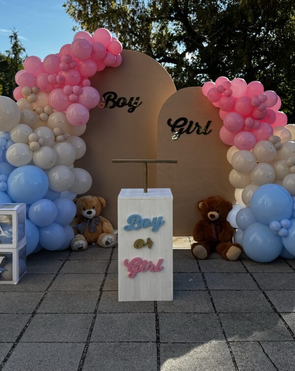 TNT per gender reveal in legno
